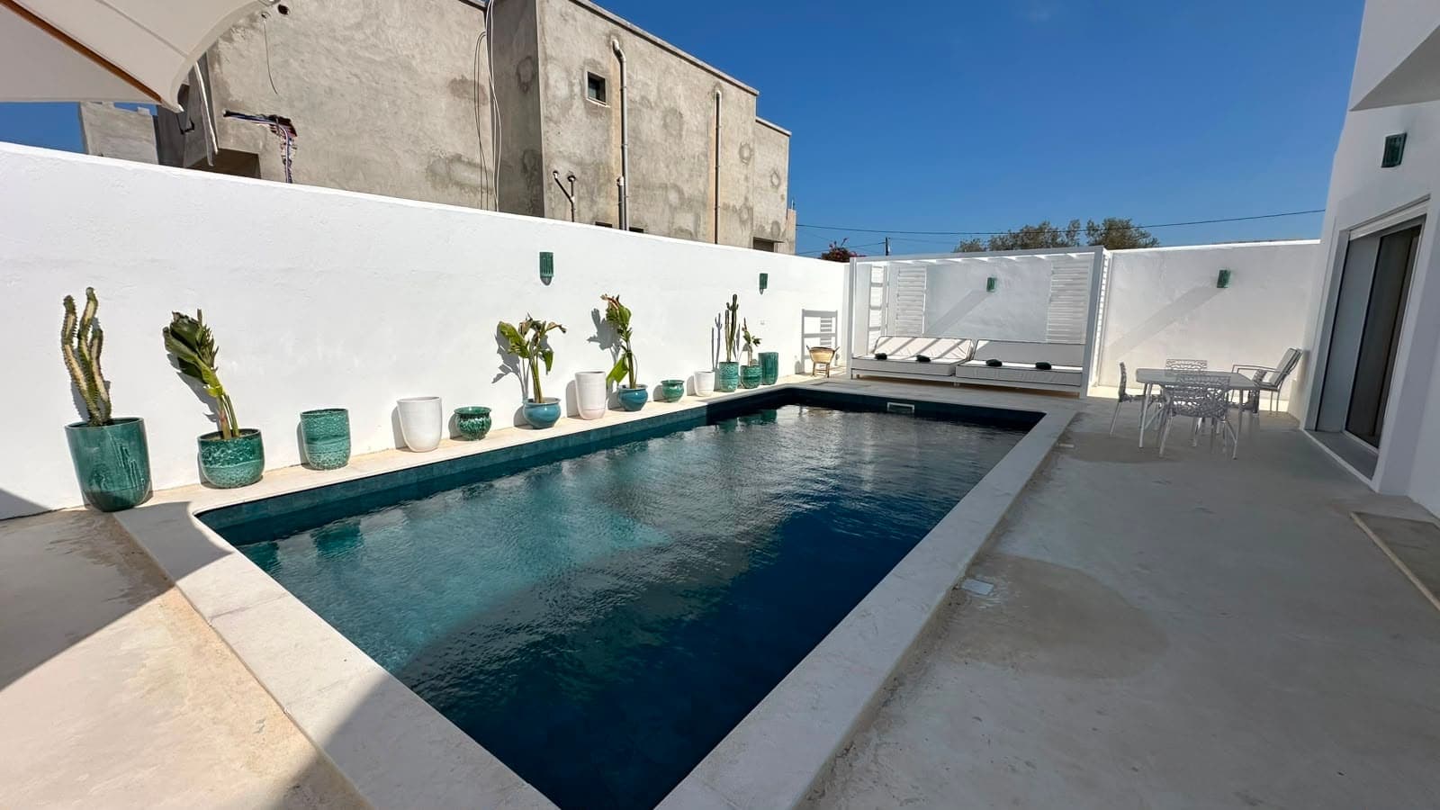 La piscine de Casa Noah entre ses murs blancs, bordée de cactus en pots